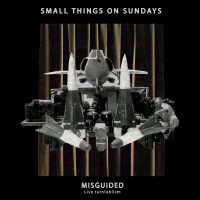 Small Things on Sundays Misguided